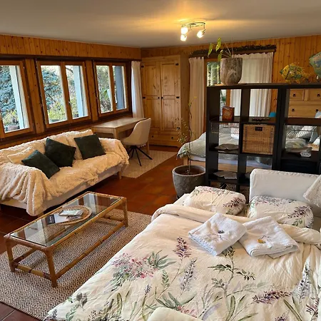 La Licorne - Cozy Alpine Hideaway In Diogne Appartement